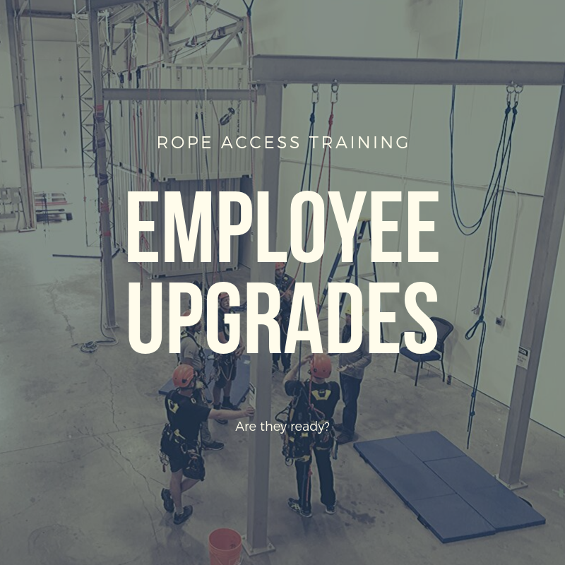 Employee Upgrades